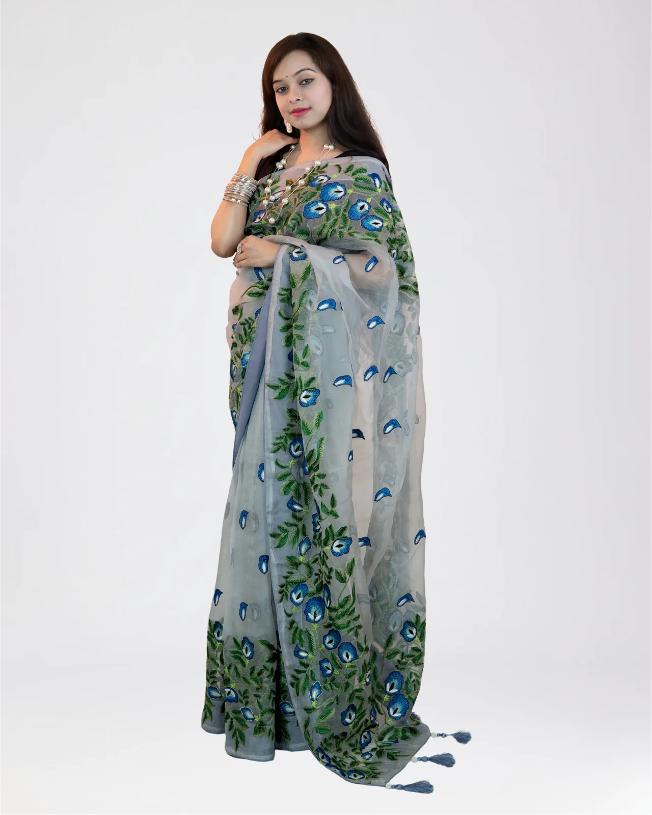 AO2505 1 Aporichita - Image 1